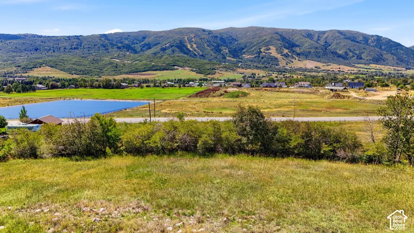 Expansive grassy terrain with distant mountainous backdrop