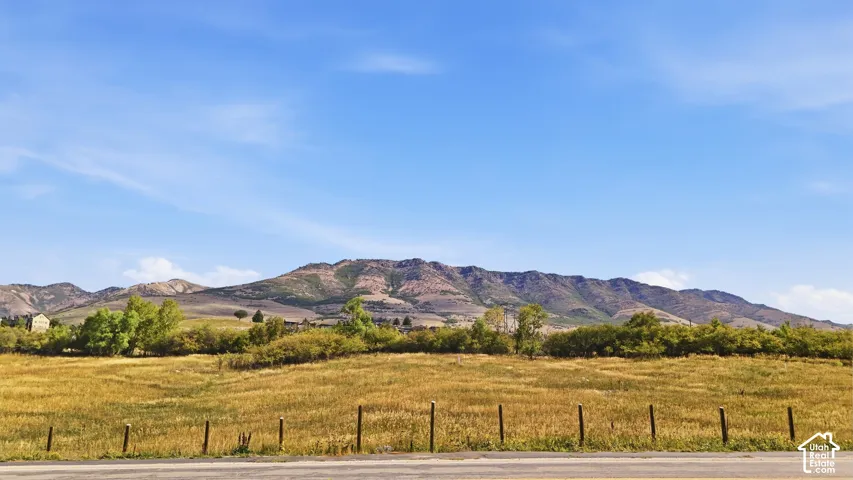 Expansive natural landscape with mountain backdrop, open fields, and scattered trees
