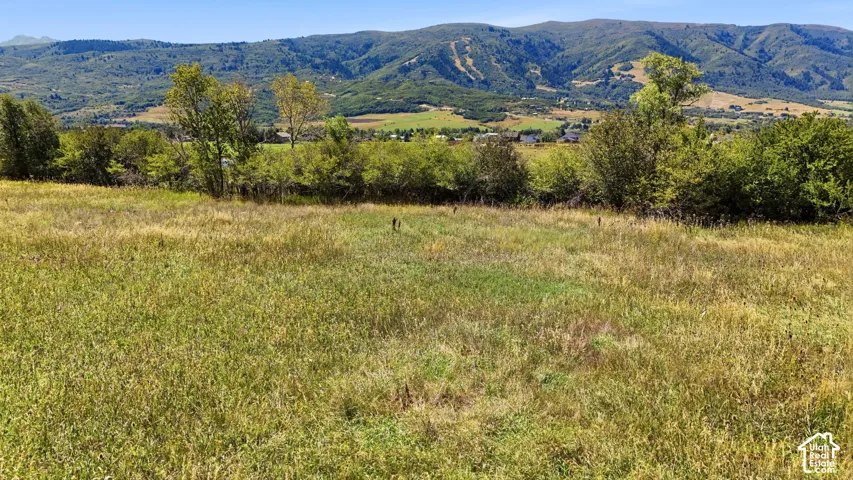 Expansive grassy terrain with distant mountainous scenery