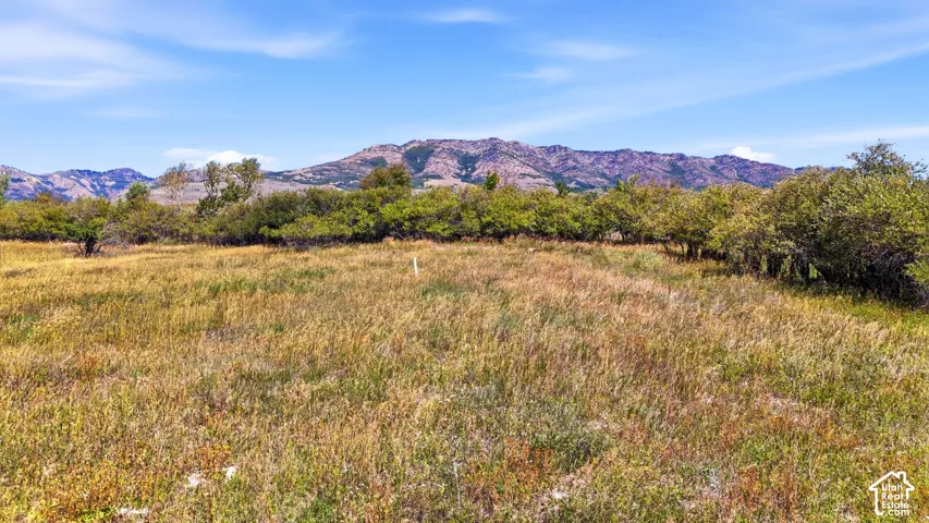 Expansive undeveloped land featuring natural vegetation and a distant mountain backdrop