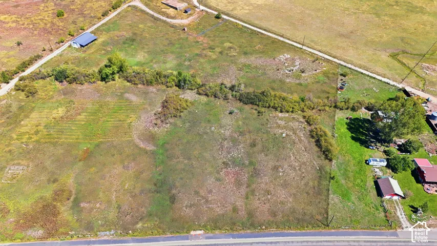 Expansive land parcel featuring natural vegetation and direct road frontage