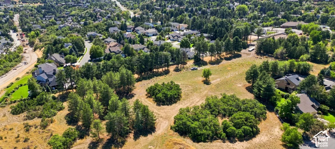 Expansive land parcel featuring open fields and mature trees, bordered by established residential areas and a paved road