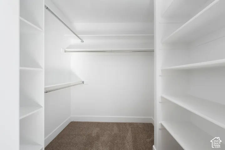 Spacious walk-in closet featuring built-in shelving, multiple hanging rods, and neutral-toned carpeting
