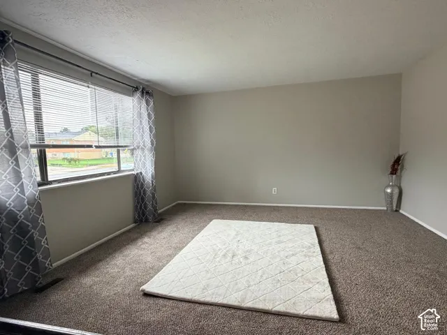 Neutral wall color, carpet flooring, window with blinds, and white trim