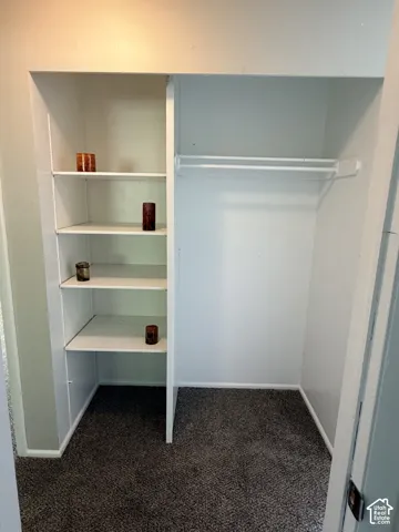 Built-in shelving, white painted walls, and dark carpeting
