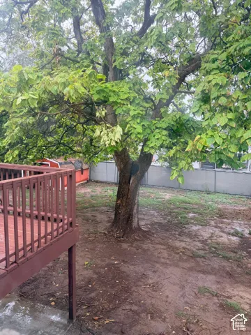 Rear yard featuring a mature tree, wood-finish deck, and partial fencing
