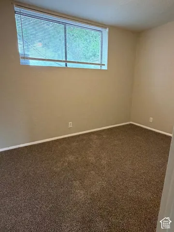 Wall-to-wall carpeting with light-toned walls and a window with horizontal blinds