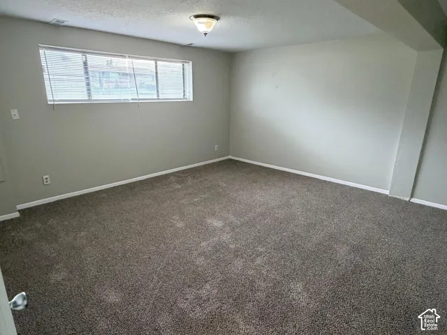 Neutral paint color, window with horizontal blinds, overhead light fixture, and textured carpeting