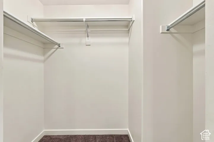 Walk-in closet featuring built-in shelving, chrome hanging rods, and neutral-toned carpeting