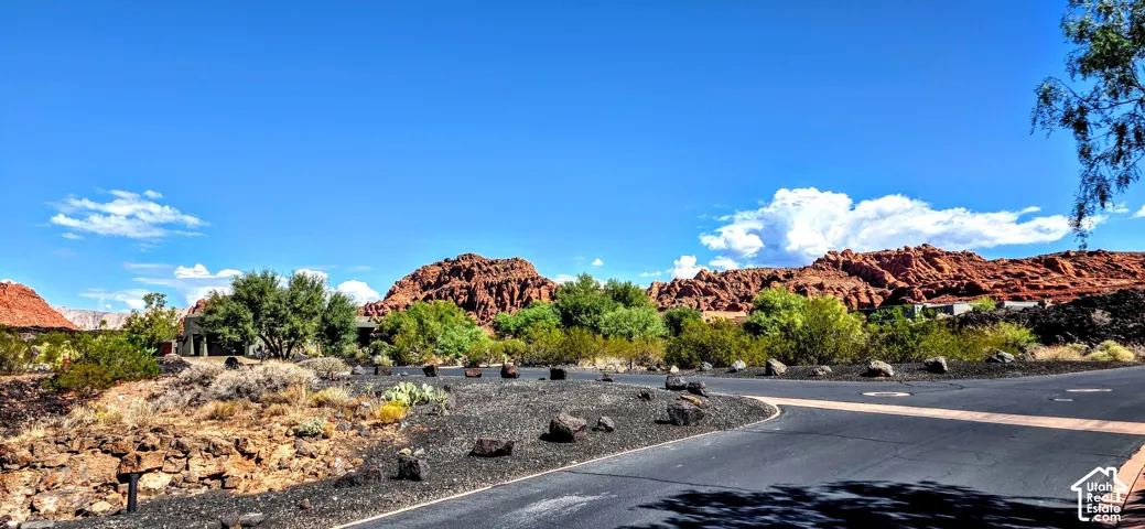 Paved road with natural rock landscaping and desert foliage