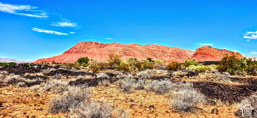 Expansive desert terrain featuring varied shrubbery and rock formations