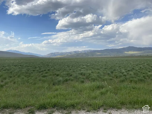 Expansive green landscape with distant mountains under a blue sky with clouds