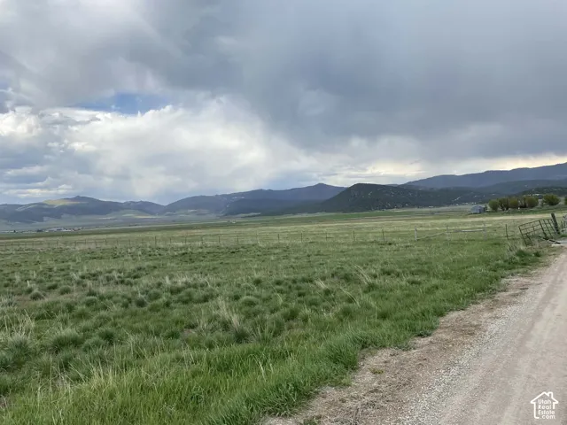 Expansive green field with distant mountain backdrop