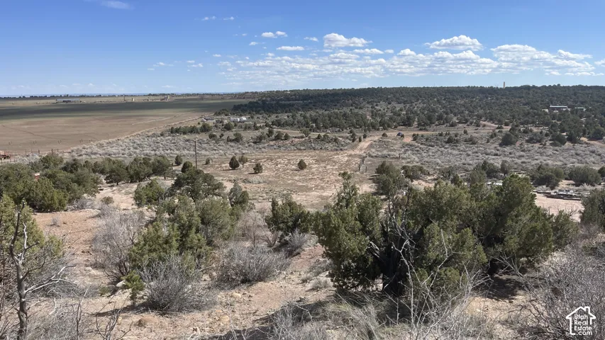Expansive open land featuring diverse natural vegetation and a clear sky backdrop