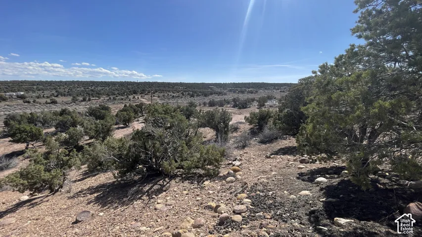 Expansive desert landscape with scattered evergreen trees and natural rock formations