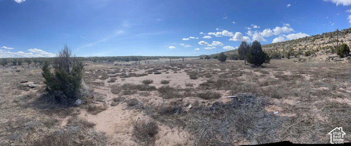 Expansive undeveloped land featuring natural desert vegetation, scattered trees, and a distant hillside