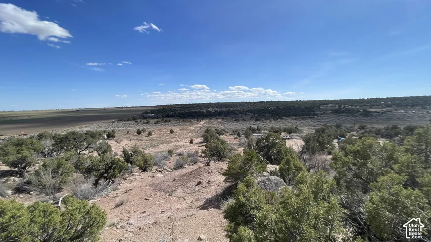 Expansive arid landscape featuring scattered evergreen trees and distant flatland