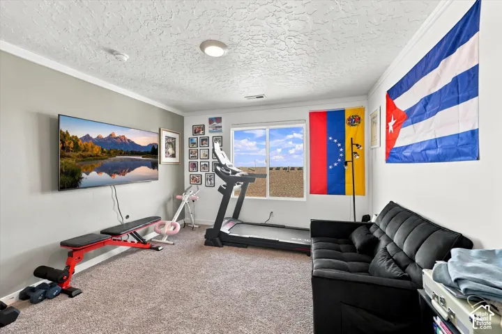 Carpeted room with a ceiling-mounted light fixture and crown molding