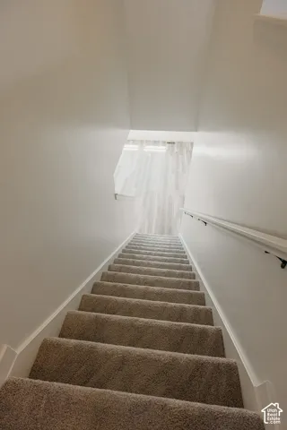 Carpeted staircase with white walls and a white handrail, leading to a lower level featuring wood-finish flooring
