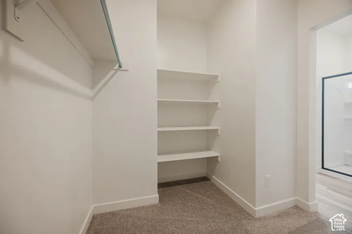 Walk-in closet with built-in shelving, a clothes rod, and carpeting