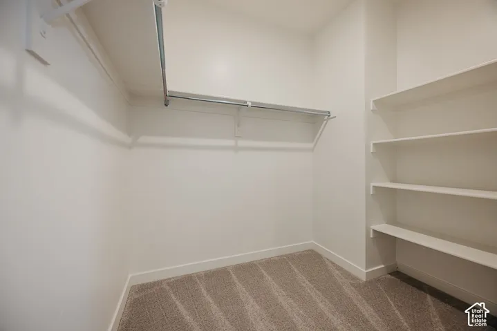 Built-in shelving, two hanging rods, and neutral-toned carpet
