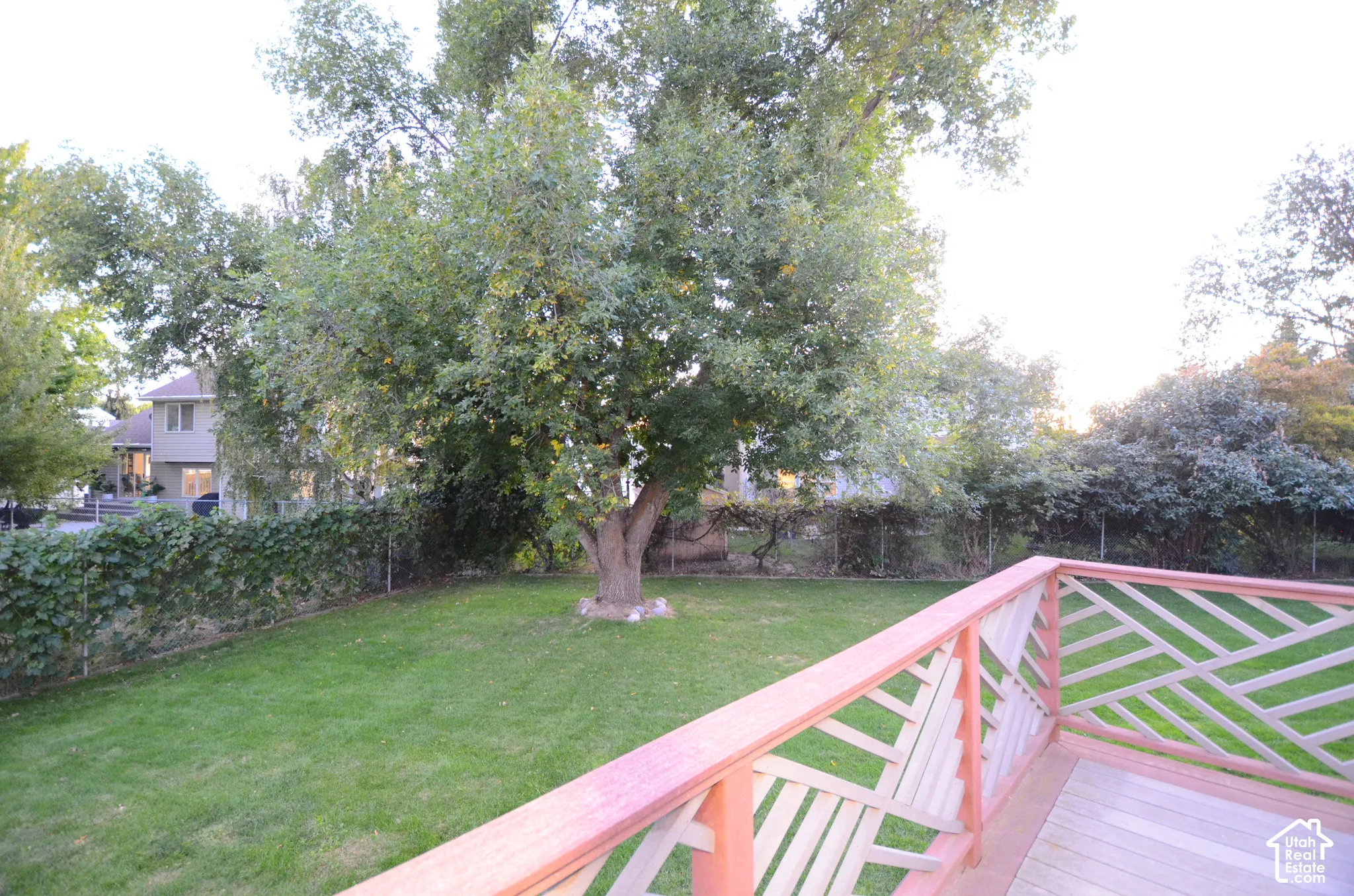 Expansive rear yard featuring a mature tree, manicured lawn, and natural privacy plantings
