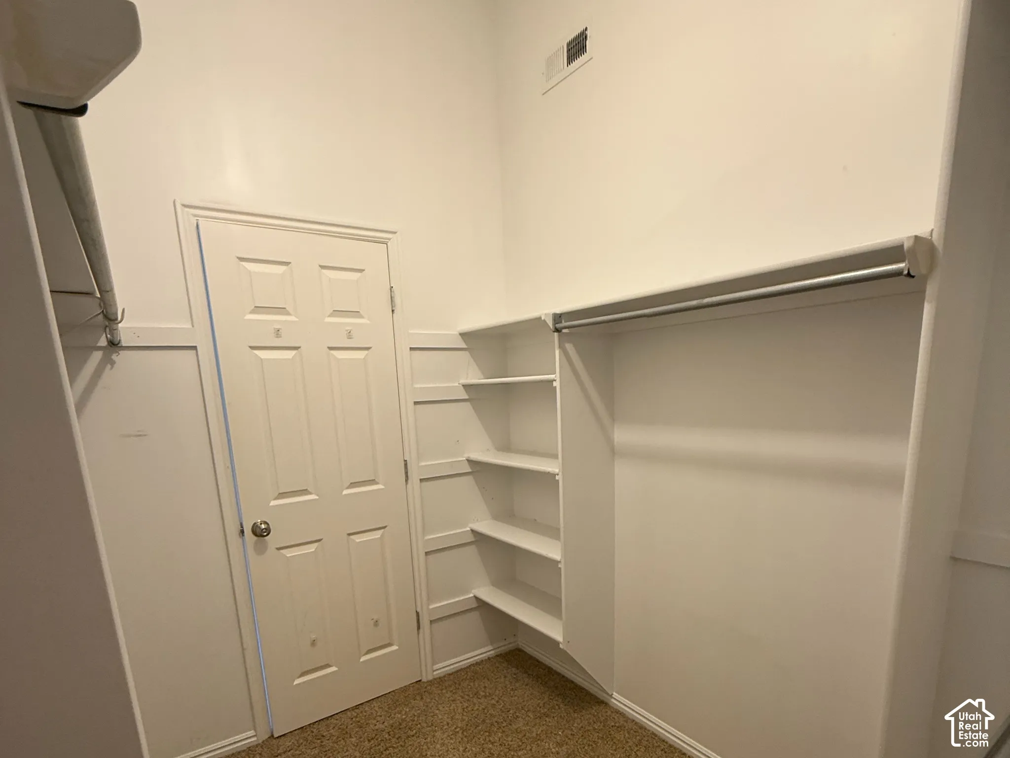 Built-in shelving, hanging rods, and paneled door