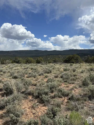 Expansive terrain with natural vegetation and distant hills