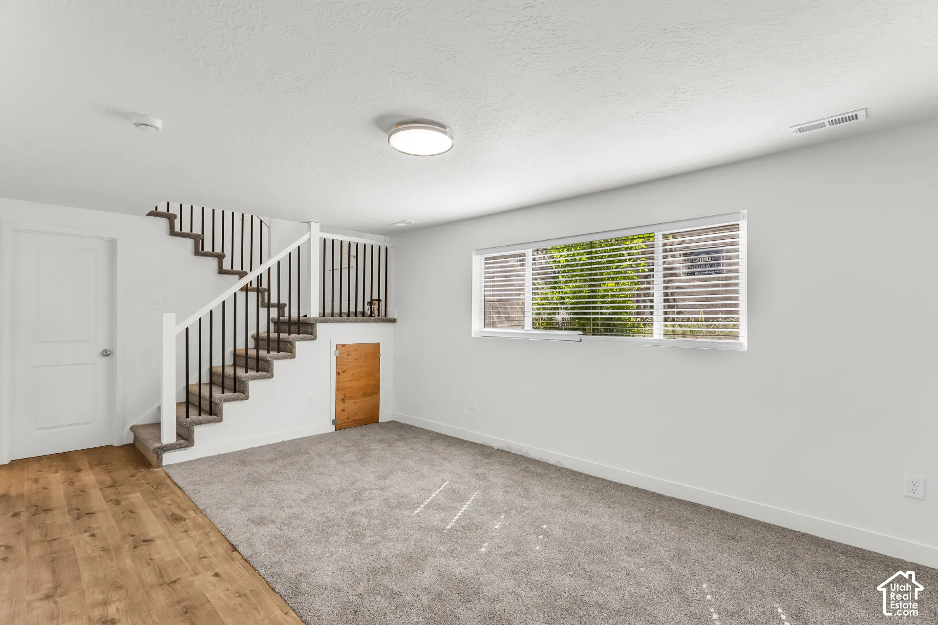 Mixed flooring with wood-finish planks and carpeting