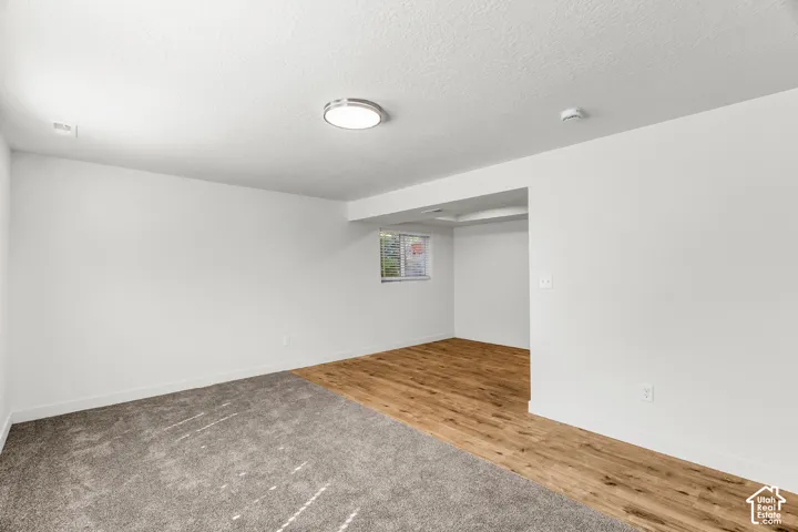 Recessed ceiling with flush mount lighting, a large window, wood-finish flooring, and gray carpeting
