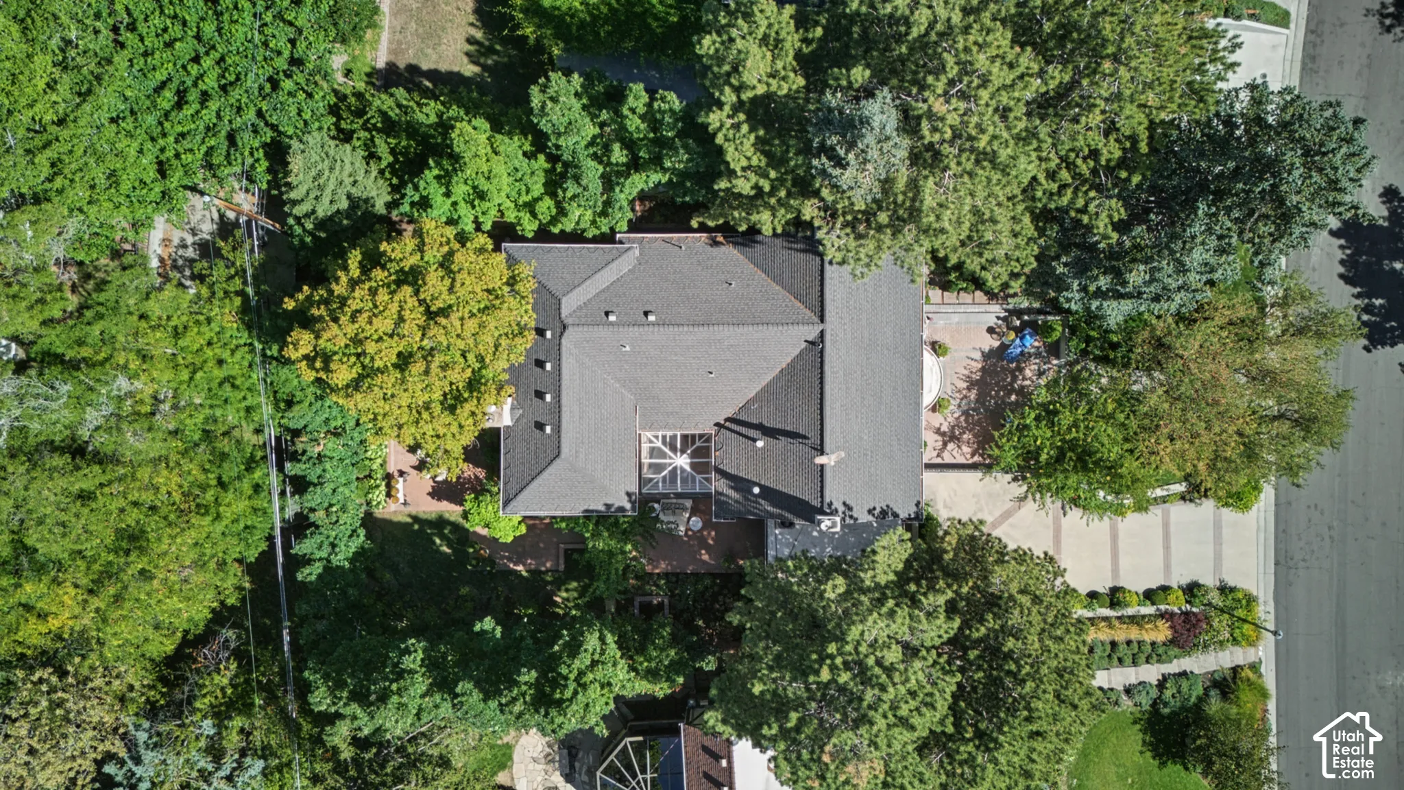 Pitched shingle roof, integrated skylight, paved driveway, mature trees, and landscaped borders