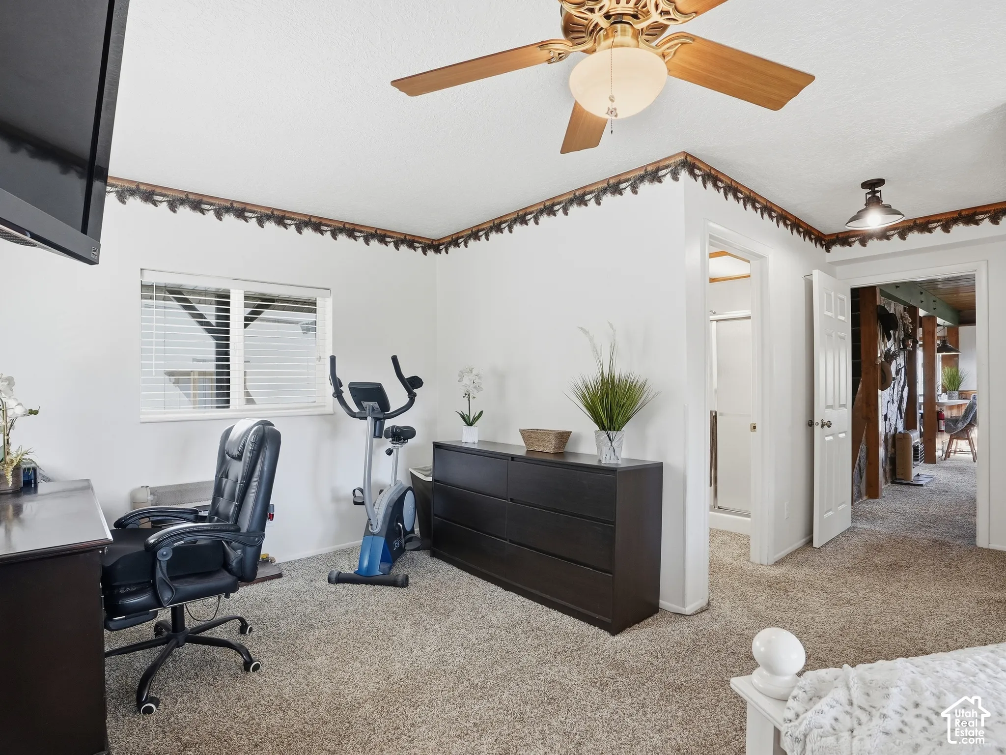 Carpeted room featuring a ceiling fan with integrated lighting, a multi-pane window, and decorative crown molding