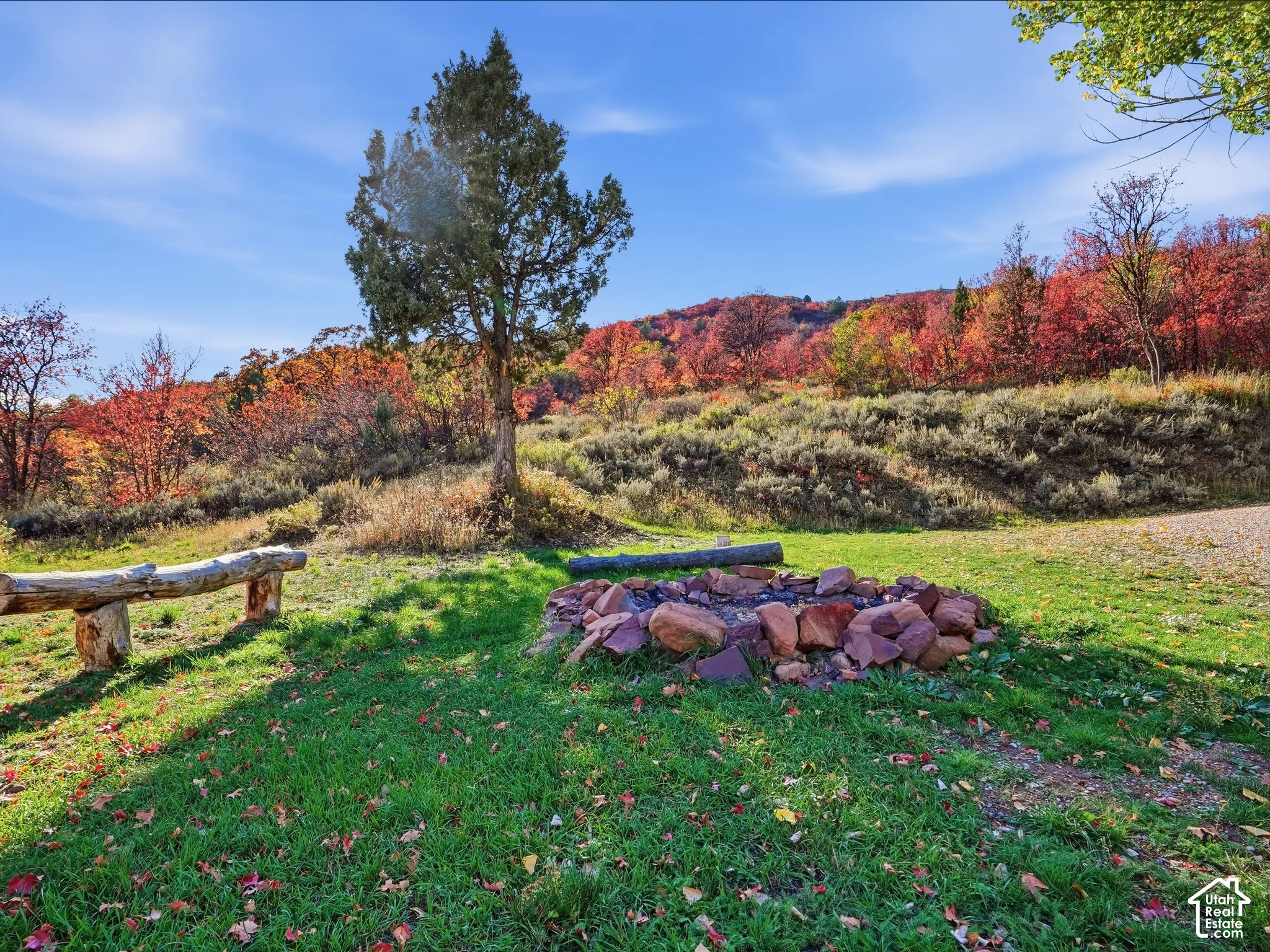 Natural landscape featuring a stone fire pit, wood-log bench, grassy terrain, and dense mature trees set against a mountainous backdrop