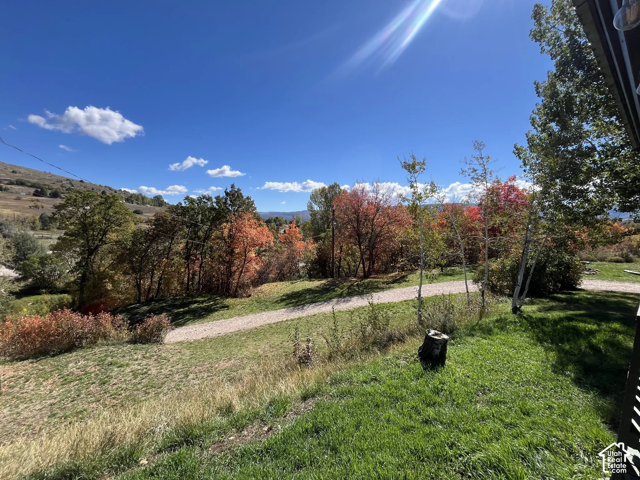 Expansive natural landscape featuring rolling hills, mature deciduous trees, and a gravel path