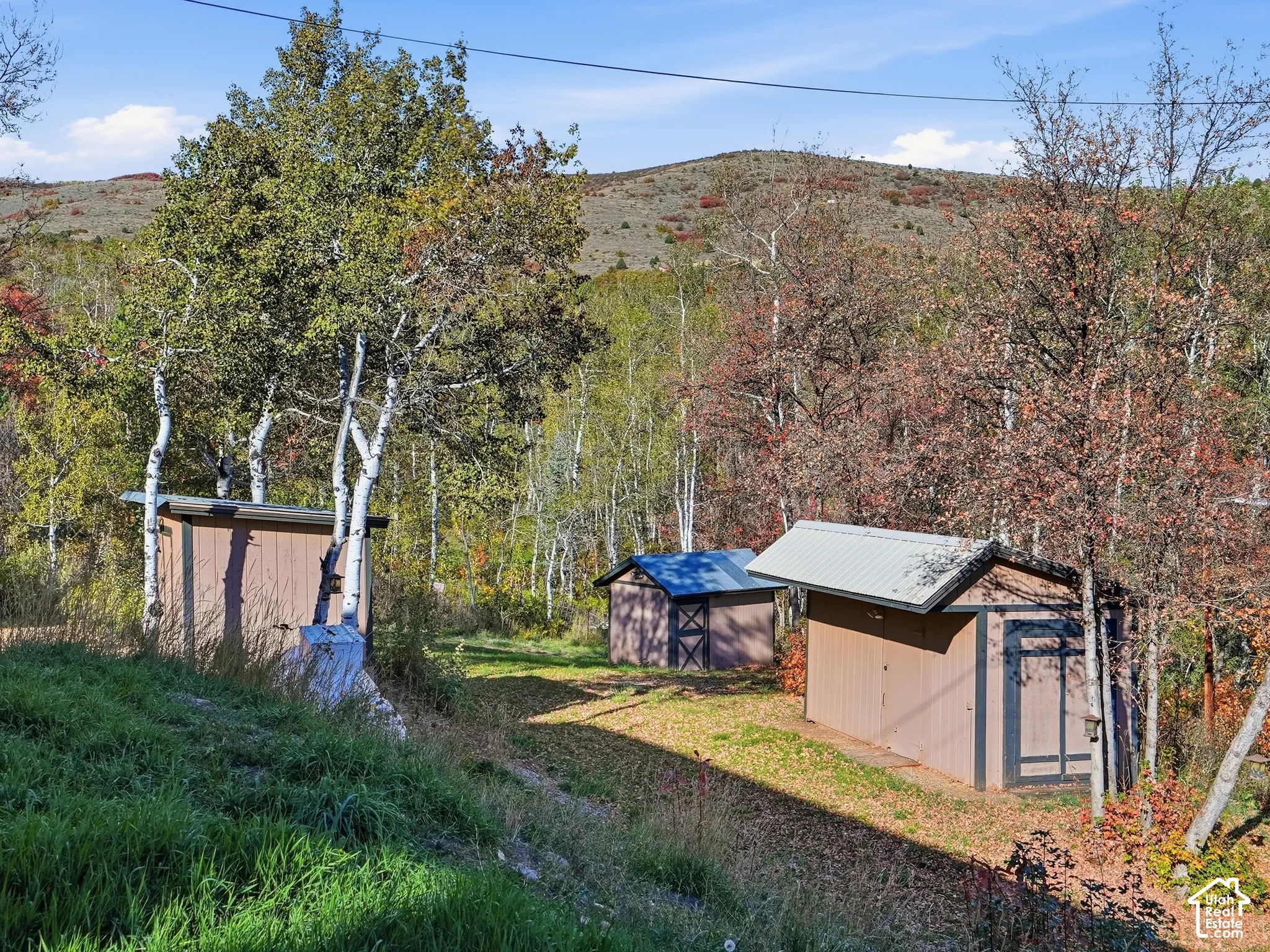 Expansive lot featuring mature trees, wooded landscape, and multiple detached storage structures with metal roofing
