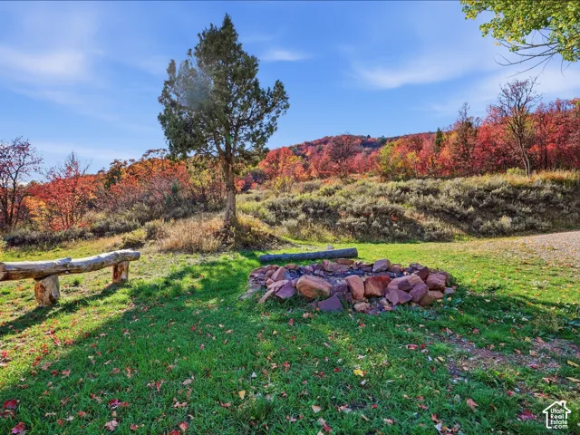 Natural landscape featuring a stone fire pit, wood-log bench, grassy terrain, and dense mature trees set against a mountainous backdrop