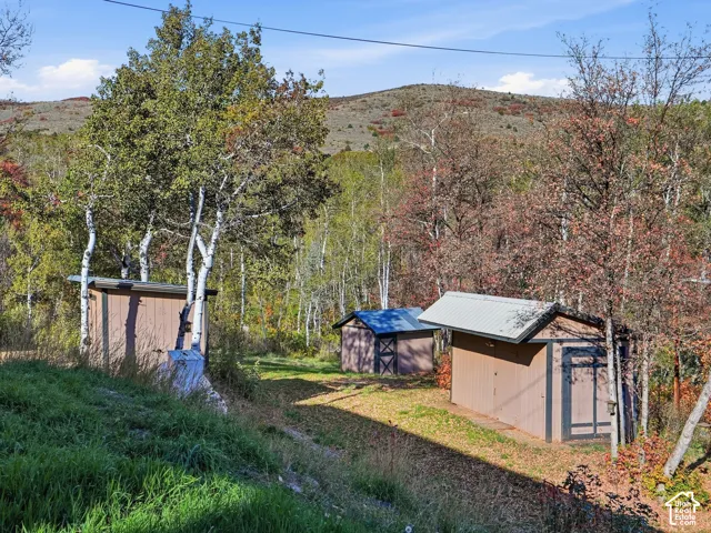 Expansive lot featuring mature trees, wooded landscape, and multiple detached storage structures with metal roofing