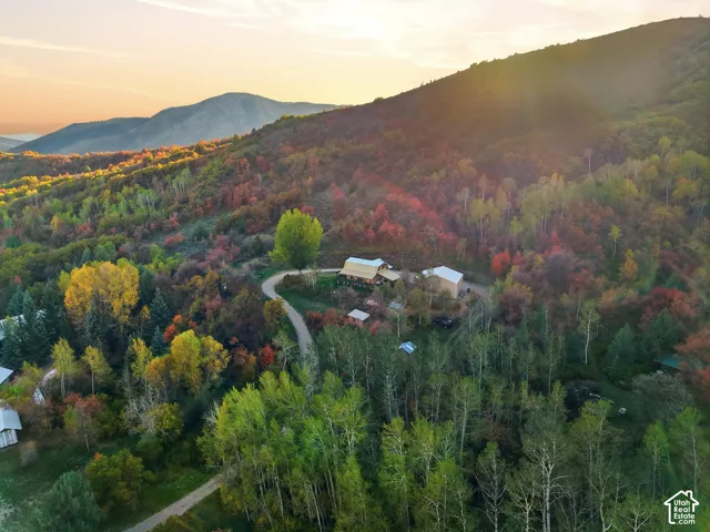 Aerial perspective of a multi-structure property set against a mountainous backdrop with extensive native forest and a private unpaved access drive