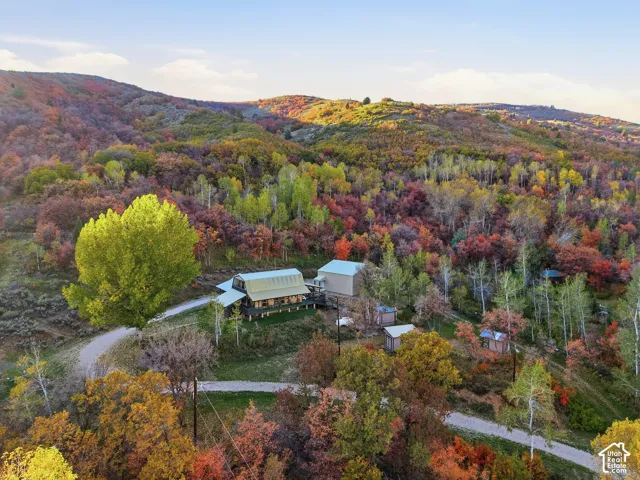 Aerial perspective of a multi-structure property featuring a gabled-roof primary residence, detached outbuildings, expansive wooded grounds, and winding gravel access roads