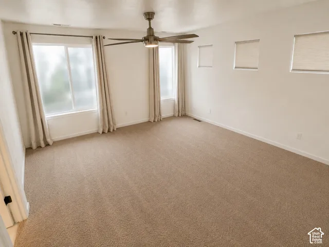 Carpeted flooring with white wall finishes