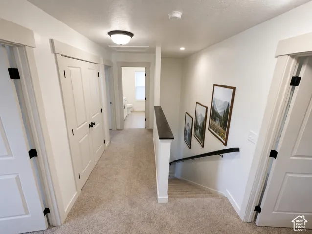 Carpeted hallway with white interior doors, black door hardware, and a wood-finish handrail