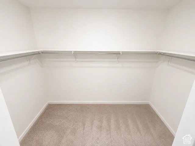 Wall-to-wall carpeting with wrap-around shelving and hanging rods