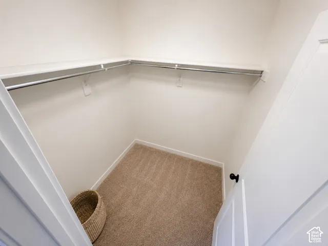 Walk-in closet with carpet flooring, white walls, and built-in shelving with hanging rods