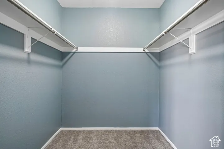 Spacious walk-in closet featuring dual hanging rods with integrated shelving, soft-close hardware, carpet flooring, and bright LED track lighting throughout