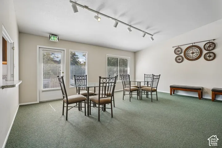 Track lighting fixtures illuminate the space, featuring light-toned wall paint and green-hued carpeting