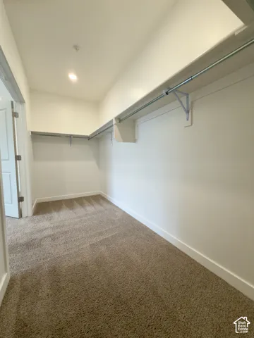 HUGE walk-in closet in primary bedroom featuring carpet flooring, built-in shelving, and metal hanging rods