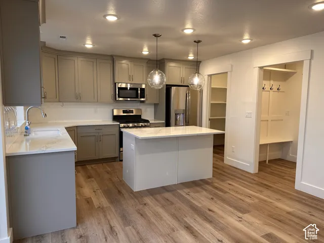 Kitchen featuring wood-finish flooring, gray cabinetry, stainless steel appliances, a center island, and recessed lighting