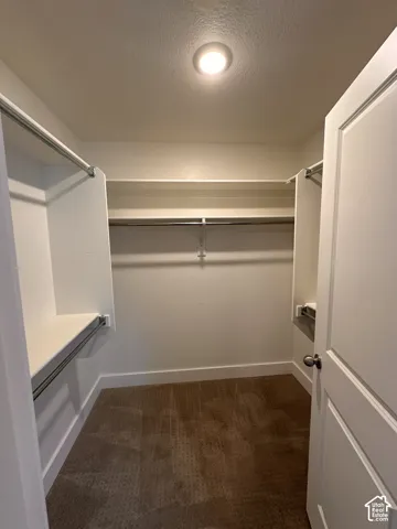 Walk-in closet with built-in shelving, hanging rods, recessed ceiling light, and carpet flooring