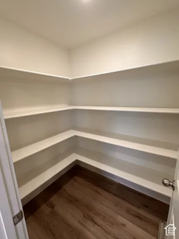 Walk-in pantry with wood-finish flooring and integrated shelving
