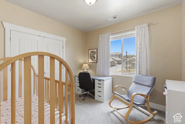 Carpeted room featuring a double-door closet with white trim, a window with white curtains, and a ceiling-mounted light fixture